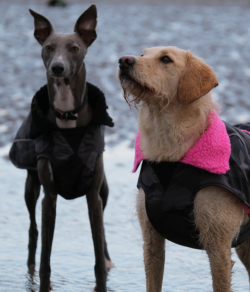 Dryrobe Dog Waterproof Coat-Black Camo/Pink