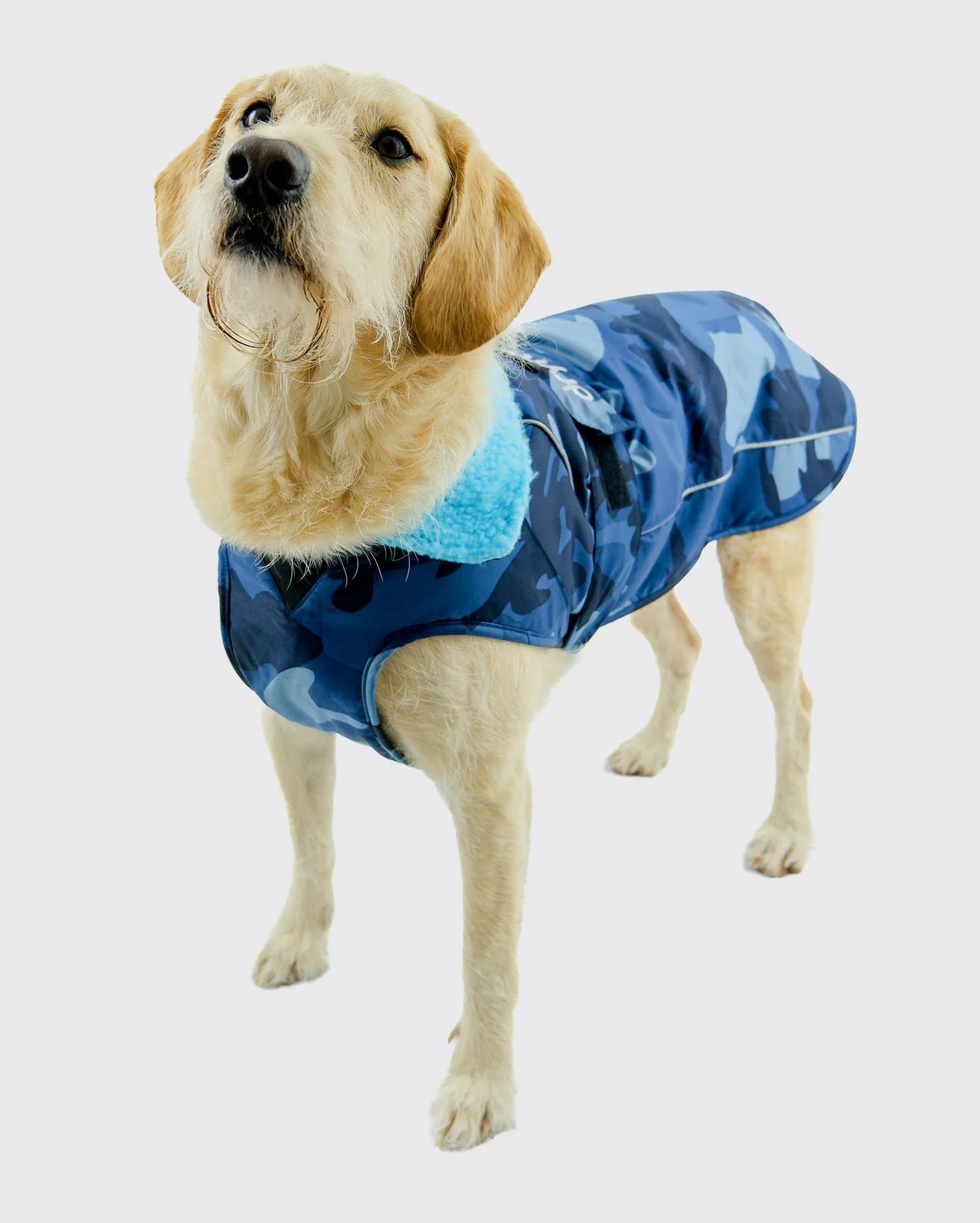 Waterproof Dog Robe main image 0