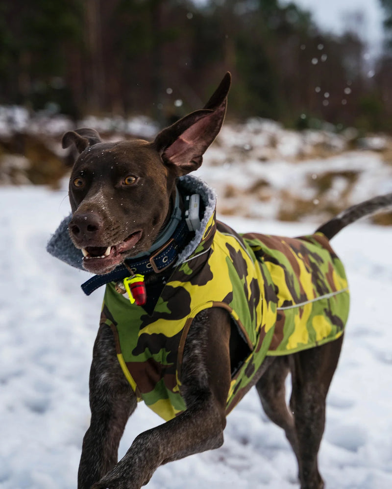 Dryrobe Dog Waterproof Coat-Camo/Grey
