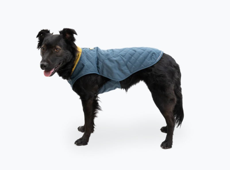 Ruffwear Stumptown Quilted Dog Coat-Orion Blue