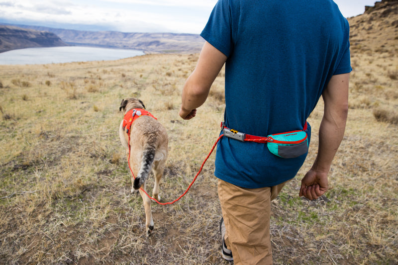 Ruffwear Hitch Hiker Dog Leash
