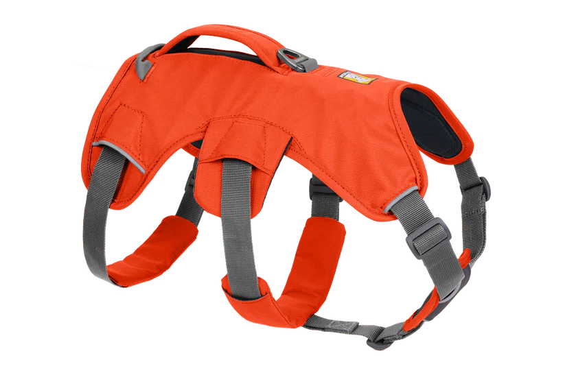 Blaze orange dog sales harness