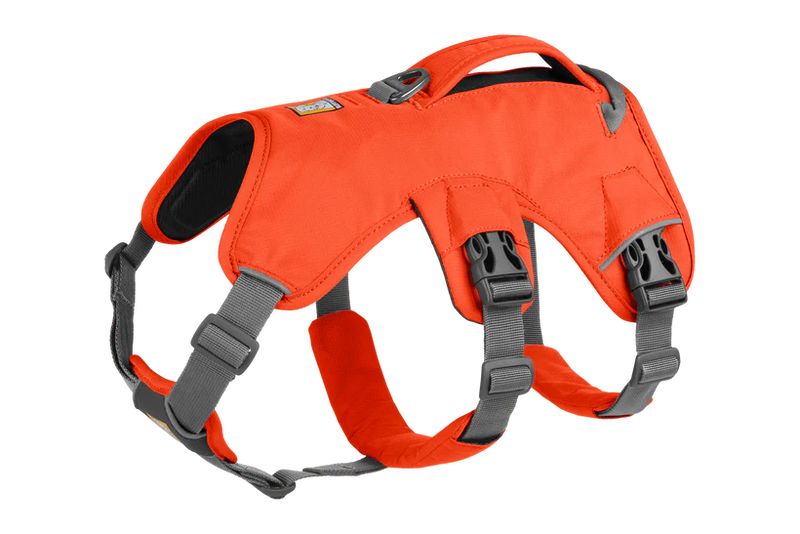 Ruffwear Web Master Dog Harness with Handle-Blaze Orange
