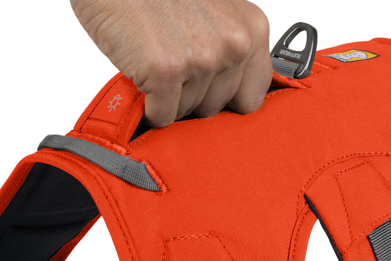 Ruffwear Web Master Dog Harness with Handle-Blaze Orange