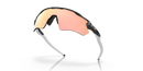 Oakley Radar EV Path Heritage Colors Collection OO9208-C738-Carbon/Prizm Rose Gold