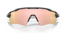 Oakley Radar EV Path Heritage Colors Collection OO9208-C738-Carbon/Prizm Rose Gold