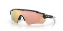 Oakley Radar EV Path Heritage Colors Collection OO9208-C738-Carbon/Prizm Rose Gold