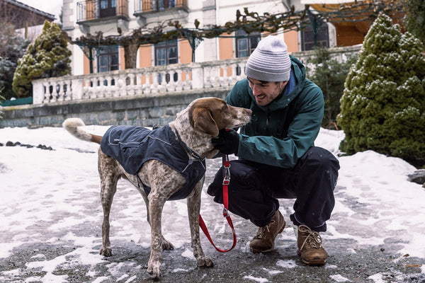 Ruffwear Overcoat Fuse Dog Jacket-Assorted Colours