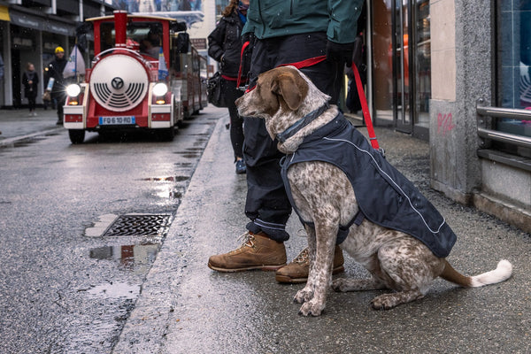 Ruffwear Overcoat Fuse Dog Jacket-Assorted Colours