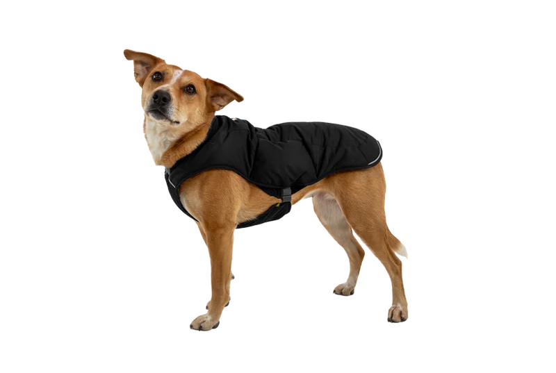 Ruffwear Quinzee Dog Jacket-Assorted Colours