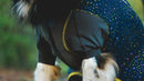 Ruffwear Climate Changer™ Coverall Dog Jacket-Galaxy