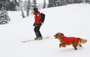 Ruffwear Powder Hound™ Waterproof Insulated Dog Vest-Assorted Colours