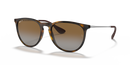 Ray-Ban Erika 0RB4171/710/T554-Light Havana/Brown Polarized