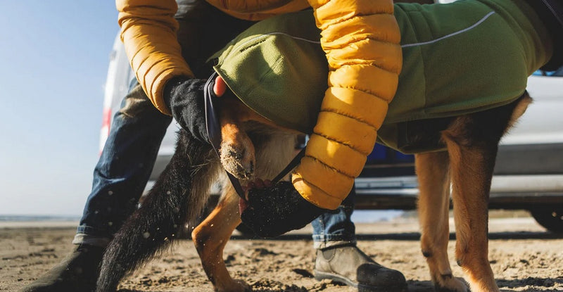 Ruffwear Climate Changer Fleece Vest-Assorted Colours