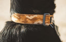 Ruffwear Crag Dog Collar-Assorted Colours