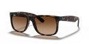 Ray-Ban Justin Classic 0RB4165/710/1355-Havana/Dark Brown