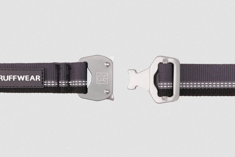 Ruffwear Top Rope Metal Buckle Dog Collar-Assorted Colours
