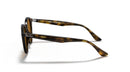 Ray-Ban RB2180 Sunglasses-0RB2180/710/8349-Light Havana/Brown Polarized