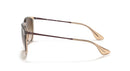 Ray-Ban Erika 0RB4171/65141354-Polished Transparent Light Brown/Brown