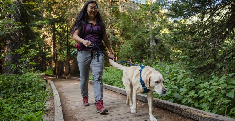 Ruffwear Front Range Dog Leash-Assorted Colours