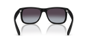 Ray-Ban Justin Classic 0RB4165/601/8G55-Matte Rubber Black/Dark Grey