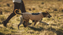 Ruffwear Timberline Fuse™ Fleece Dog Vest-Assorted Colours