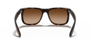 Ray-Ban Justin Classic 0RB4165/710/1355-Havana/Dark Brown