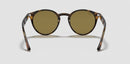 Ray-Ban RB2180 Sunglasses-0RB2180/710/73-Light Havana/Dark Brown