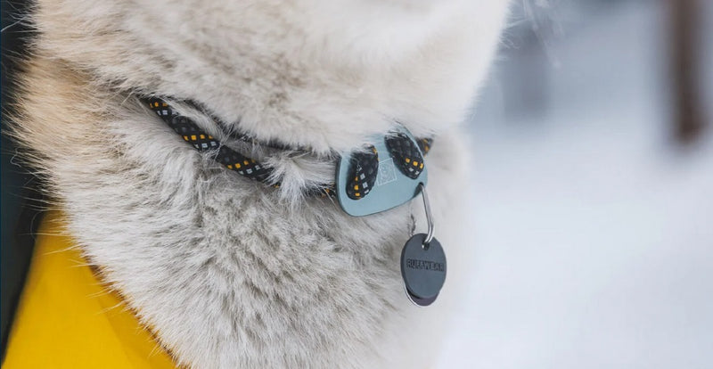 Ruffwear Knot-A-Collar Rope Dog Collar-Assorted Colours