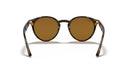 Ray-Ban RB2180 Sunglasses-0RB2180/710/8349-Light Havana/Brown Polarized