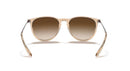 Ray-Ban Erika 0RB4171/65141354-Polished Transparent Light Brown/Brown