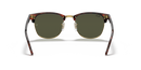 Ray-Ban Clubmaster Classic 0RB3016/W036651-Polished Tortoise On Gold/G-15 Green