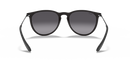 Ray-Ban Erika 0RB4171/622/8G54-Rubber Black/Grey Gradient