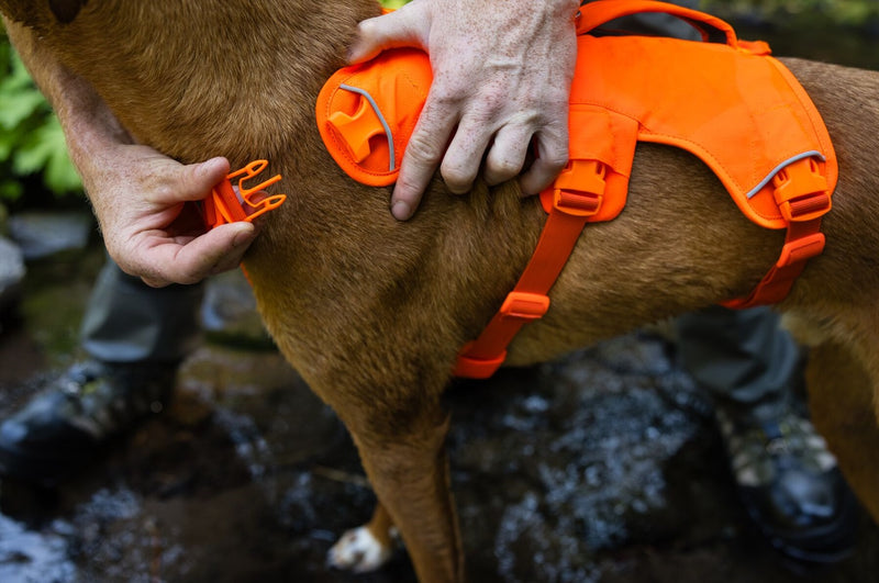 Ruffwear Web Master Dog Harness with Handle-Assorted Colours