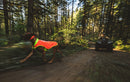 Ruffwear Lumenglow™ High-Vis Dog Vest-Blaze Orange