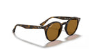 Ray-Ban RB2180 Sunglasses-0RB2180/710/8349-Light Havana/Brown Polarized