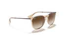 Ray-Ban Erika 0RB4171/65141354-Polished Transparent Light Brown/Brown