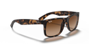 Ray-Ban Justin Classic 0RB4165/710/1355-Havana/Dark Brown