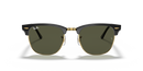 Ray-Ban Clubmaster Classic 0RB3016/W036551-Polished Black On Gold/G-15 Green