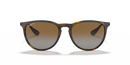 Ray-Ban Erika 0RB4171/710/T554-Light Havana/Brown Polarized