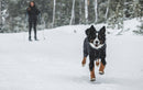 Ruffwear Powder Hound™ Waterproof Insulated Dog Coverall-Obsidian Black
