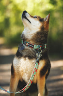Ruffwear Crag Dog Leash-Assorted Colours