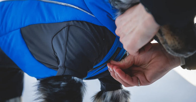 Ruffwear Vert Coverall Dog Snow Suit-Blue Pool