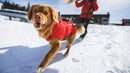 Ruffwear Powder Hound™ Waterproof Insulated Dog Vest-Assorted Colours