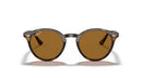 Ray-Ban RB2180 Sunglasses-0RB2180/710/8349-Light Havana/Brown Polarized