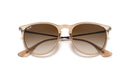 Ray-Ban Erika 0RB4171/65141354-Polished Transparent Light Brown/Brown