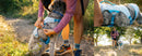 Ruffwear Swamp Cooler™ Harness-Assorted Colours