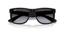 Ray-Ban Justin Classic 0RB4165/601/8G55-Matte Rubber Black/Dark Grey