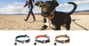 Ruffwear Crag Dog Collar-Assorted Colours