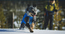 Ruffwear Vert Coverall Dog Snow Suit-Blue Pool